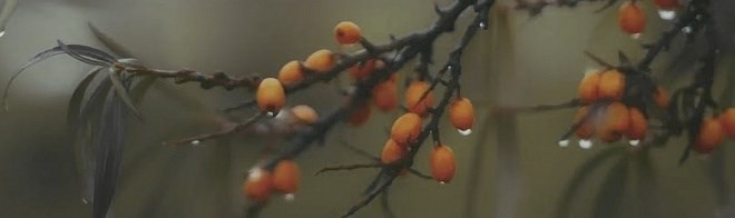 KERAMA MARAZZI OS\A118\9016 Декор Тракай 6 глянцевый 8,5x28,5x8,5