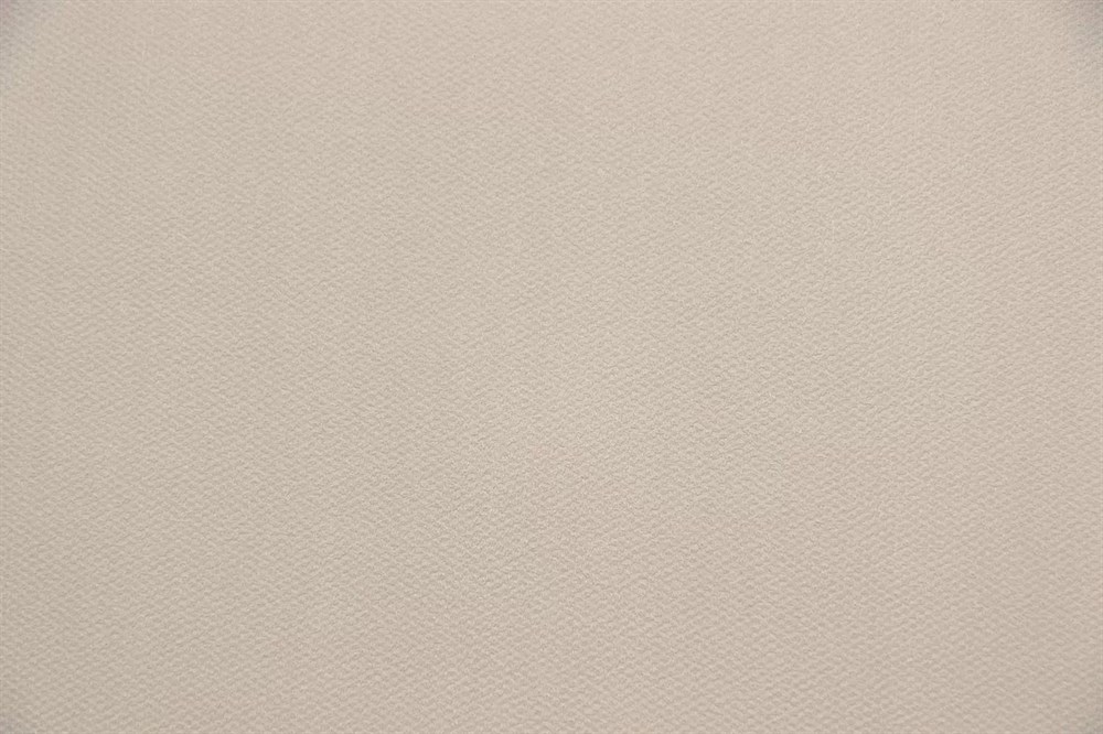 Обои виниловые на флизелиновой основе Примавера база, бежевый