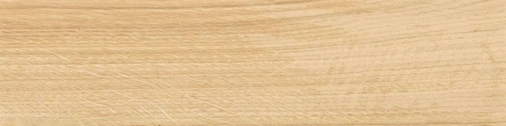 Аргания бежевый матовый 9,9x40,2x0,8