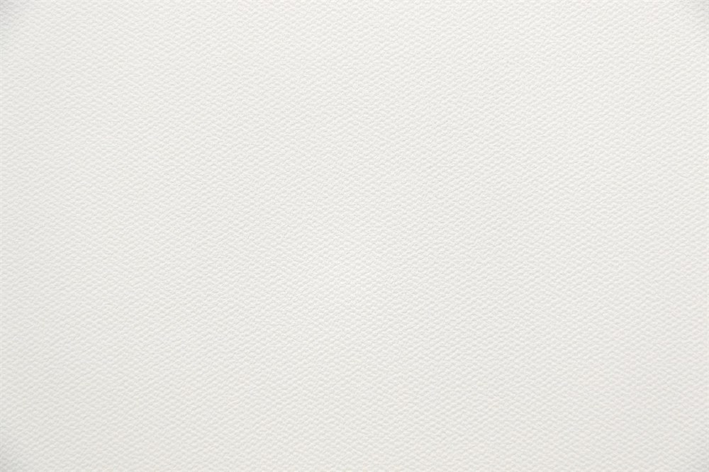 Обои виниловые на флизелиновой основе Примавера база, белый