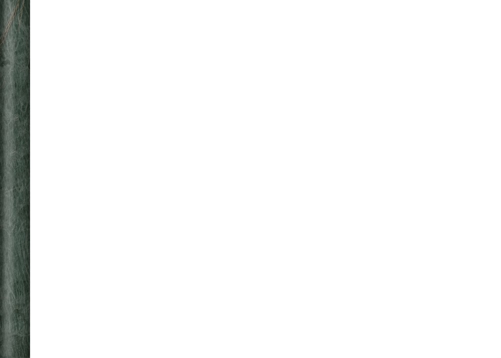 KERAMA MARAZZI SPA054R Бордюр Эвора зеленый глянцевый обрезной 30х2,5 30x2,5x19