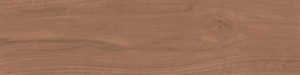 Аргания коричневый матовый 9,9x40,2x0,8