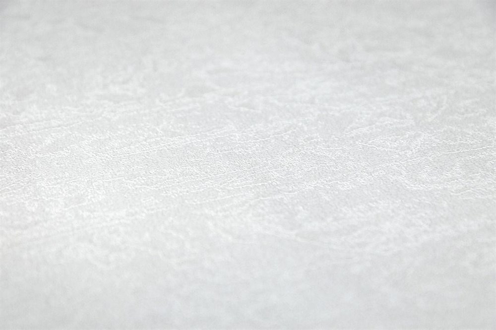 Обои виниловые на флизелиновой основе Ориент база, белый