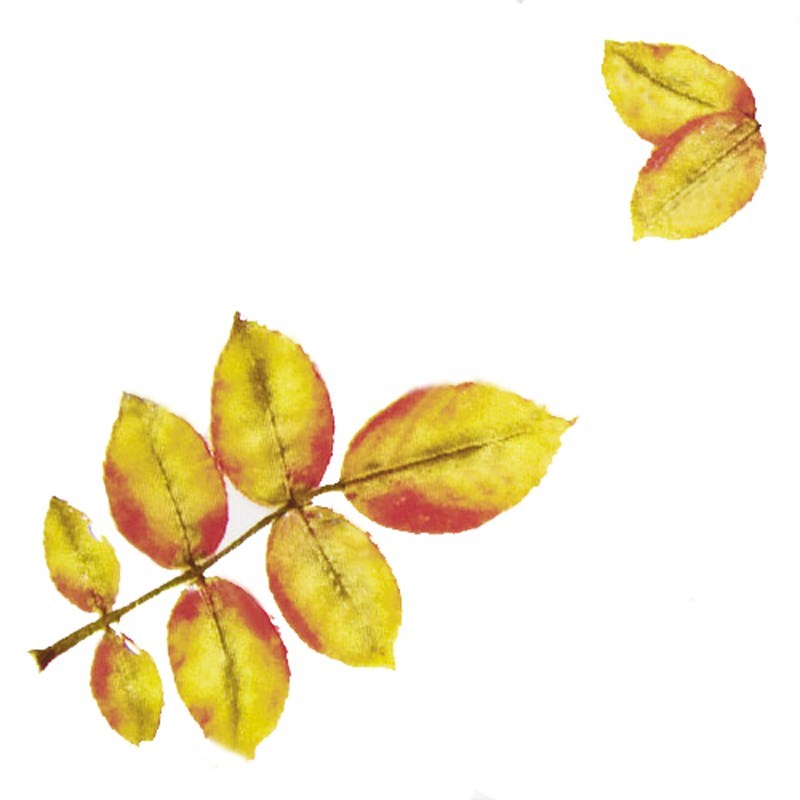 KERAMA MARAZZI B1837/1236 Лист 9,9x9,9