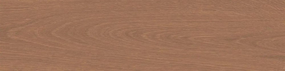 Аргания коричневый матовый 9,9x40,2x0,8