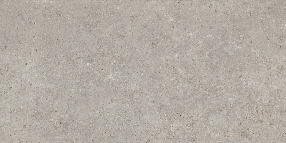 KERAMA MARAZZI SG519920R Риккарди серый светлый матовый обрезной 60х119,5x0,9